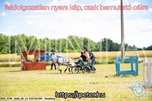 Mintakép 20260613-1816