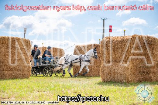 Mintakép 20260613-1819