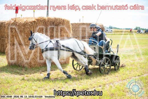 Mintakép 20260613-1821