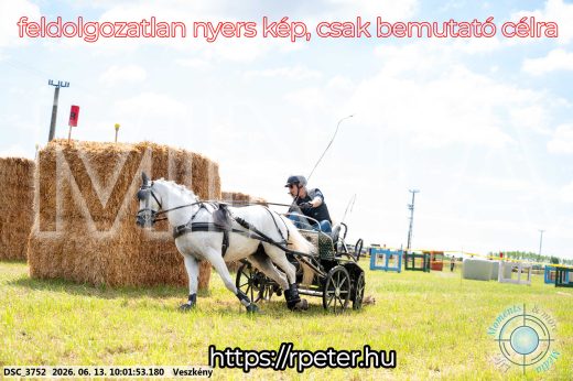 Mintakép 20260613-1822