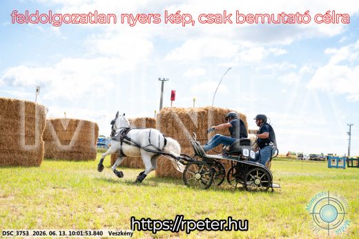 Mintakép 20260613-1823