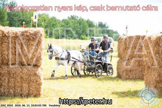 Mintakép 20260613-1824