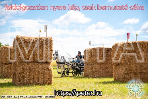 Mintakép 20260613-1825