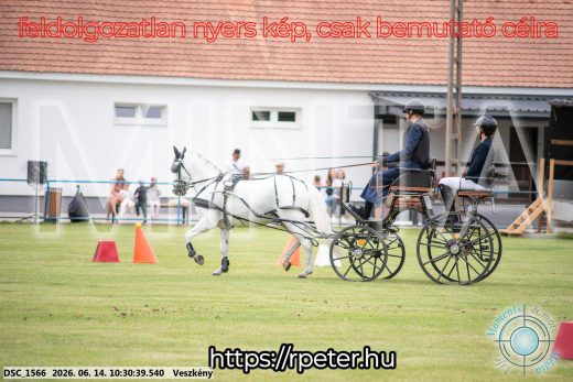 Mintakép 20260614-932