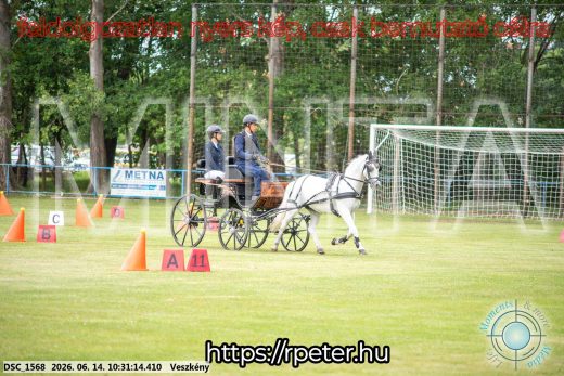 Mintakép 20260614-938