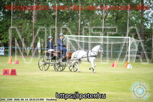 Mintakép 20260614-939