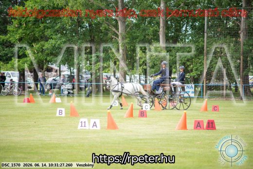 Mintakép 20260614-940