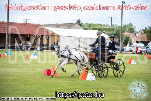 Mintakép 20260614-942