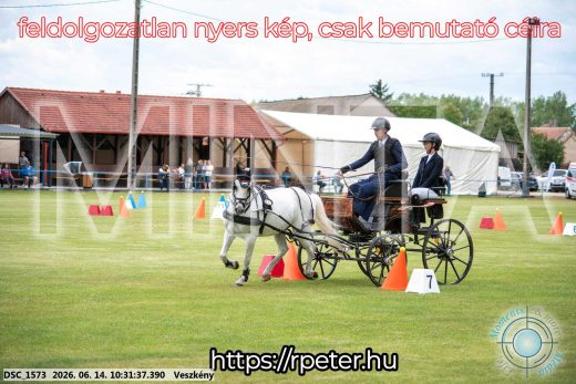Mintakép 20260614-943