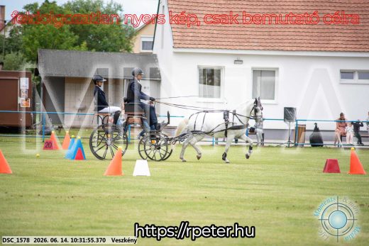 Mintakép 20260614-948