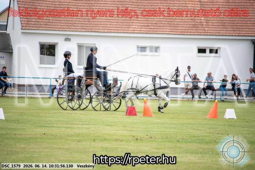 Mintakép 20260614-949