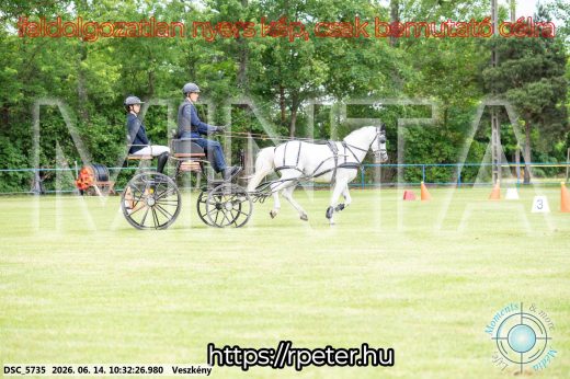Mintakép 20260614-951