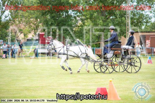 Mintakép 20260614-955