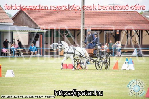 Mintakép 20260614-956