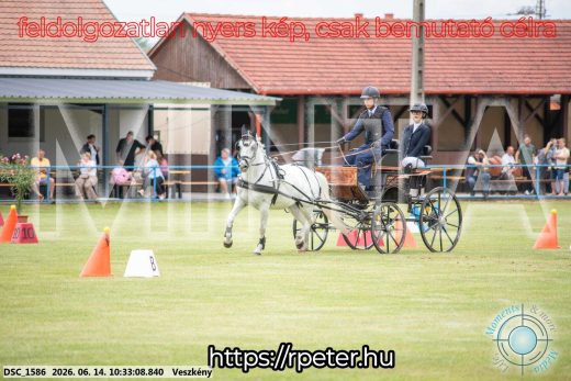 Mintakép 20260614-957