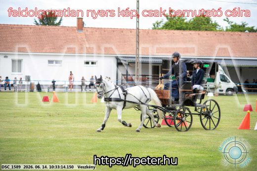 Mintakép 20260614-960