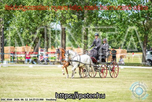 20260612-142715-DSC_9544.jpg