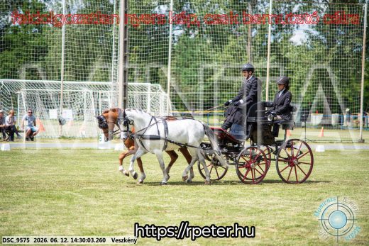 Mintakép 20260612-836