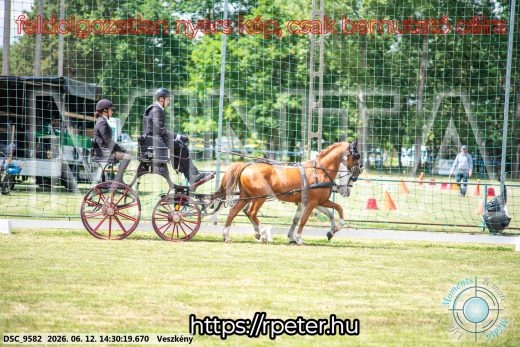 Mintakép 20260612-837