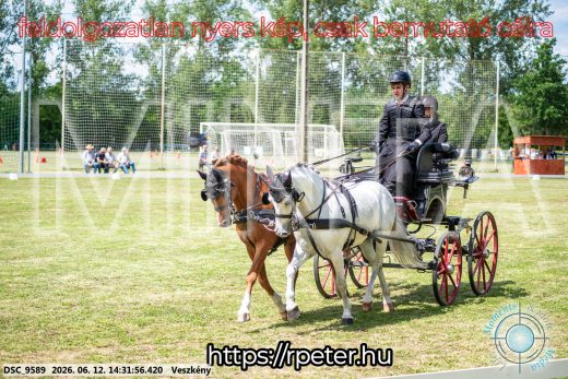 Mintakép 20260612-842