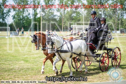Mintakép 20260612-844