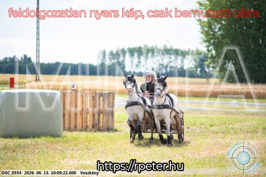 Mintakép 20260613-1860