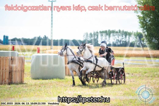 Mintakép 20260613-1861