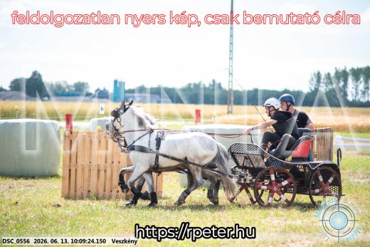 Mintakép 20260613-1862