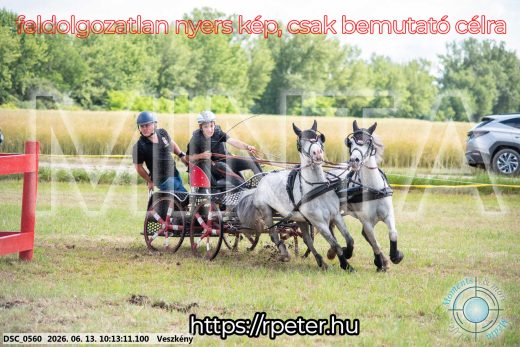 Mintakép 20260613-1863