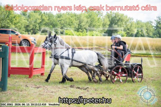 Mintakép 20260613-1864