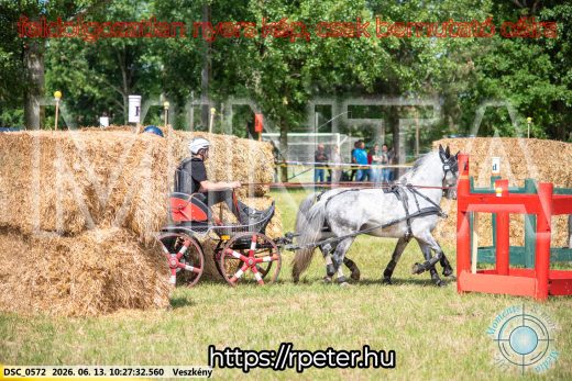 Mintakép 20260613-1866