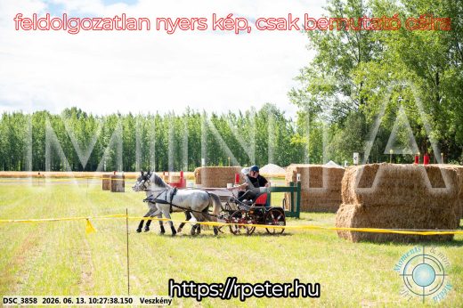 Mintakép 20260613-1867