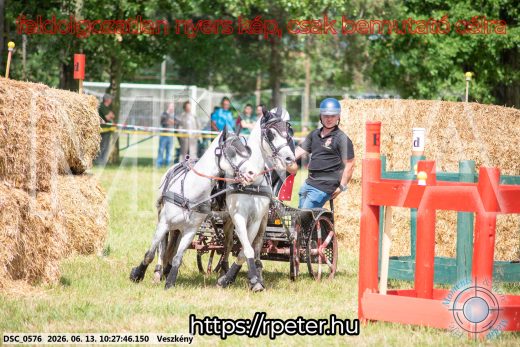 Mintakép 20260613-1871