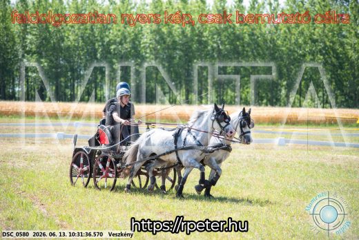 Mintakép 20260613-1877