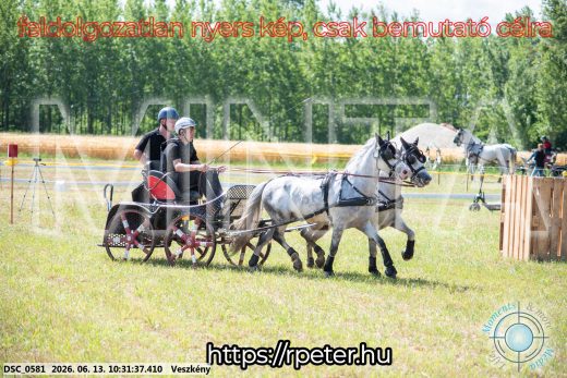 Mintakép 20260613-1878