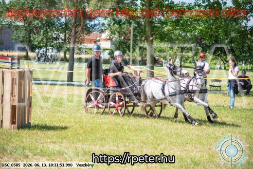 Mintakép 20260613-1882