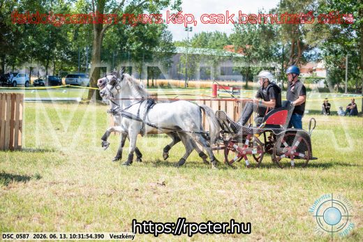 Mintakép 20260613-1884
