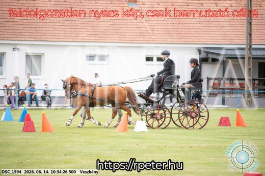 Mintakép 20260614-965