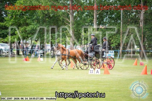 Mintakép 20260614-968
