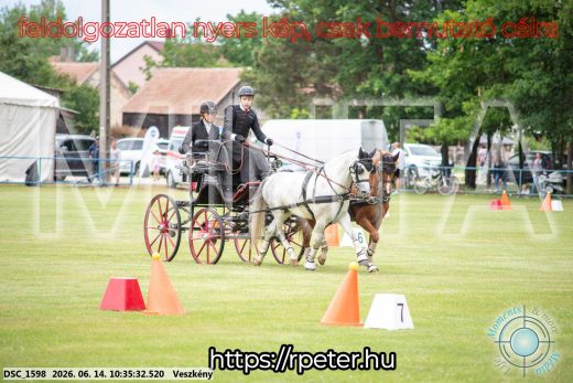 Mintakép 20260614-969