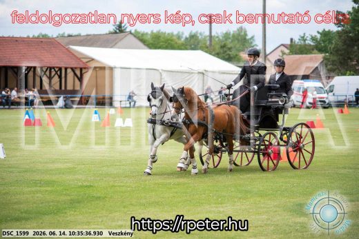 Mintakép 20260614-970