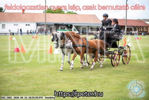 Mintakép 20260614-972