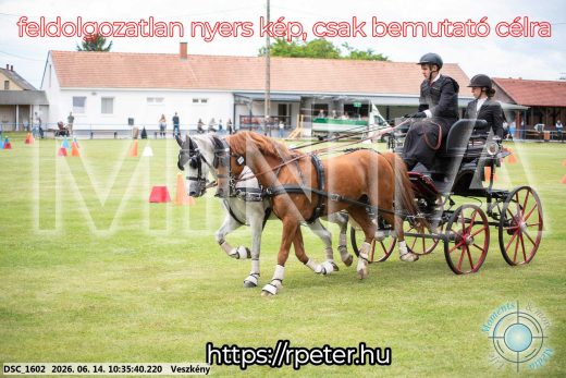 Mintakép 20260614-973