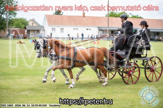 Mintakép 20260614-974