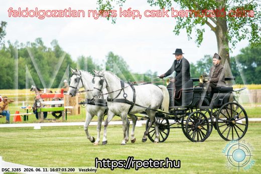 Mintakép 20260611-7