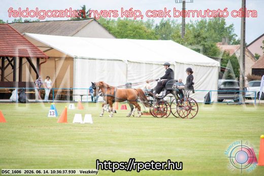 Mintakép 20260614-978