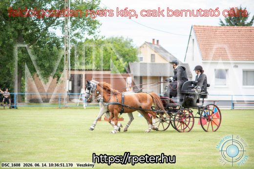 Mintakép 20260614-980