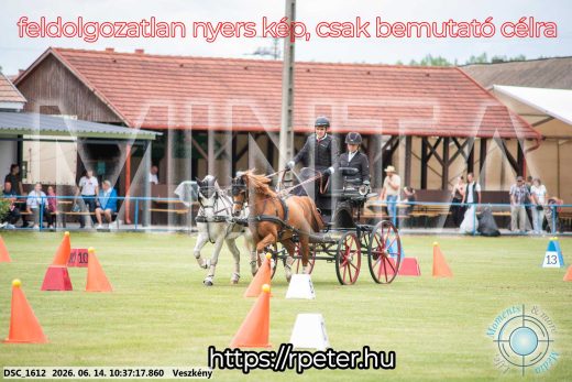 Mintakép 20260614-982