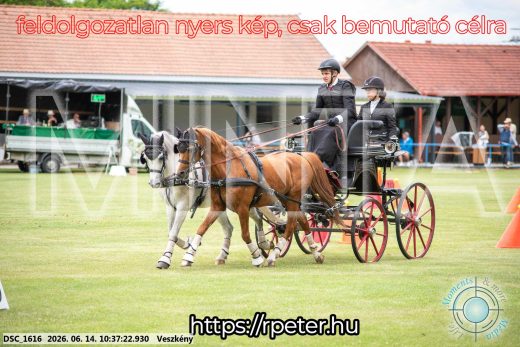 Mintakép 20260614-986