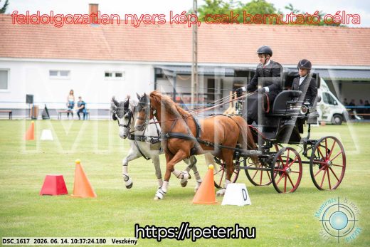 Mintakép 20260614-987
